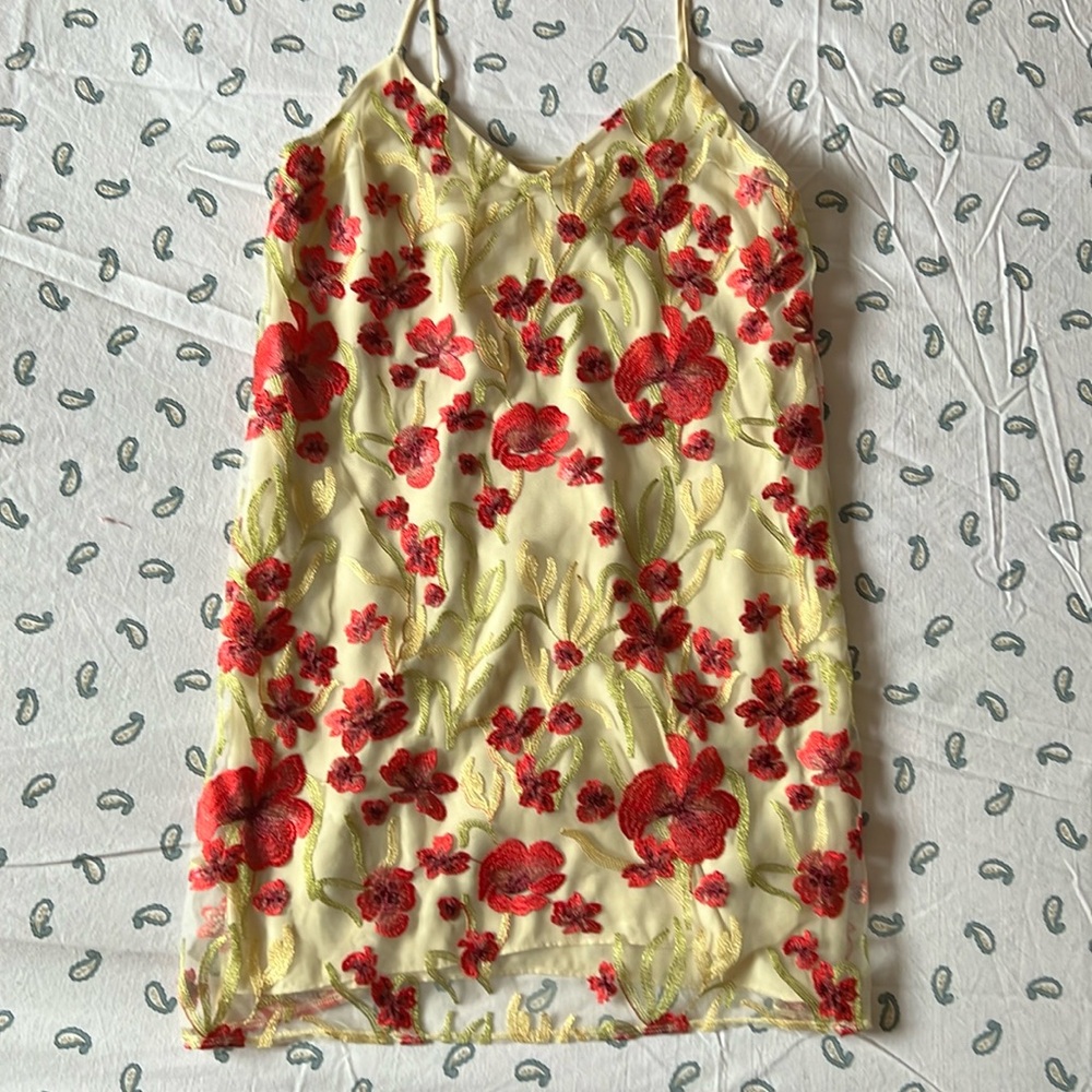 Little moon Cheyenne embroidered slip mini dress